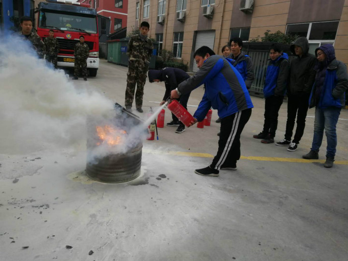 1545010516297059.jpg 11.jpg